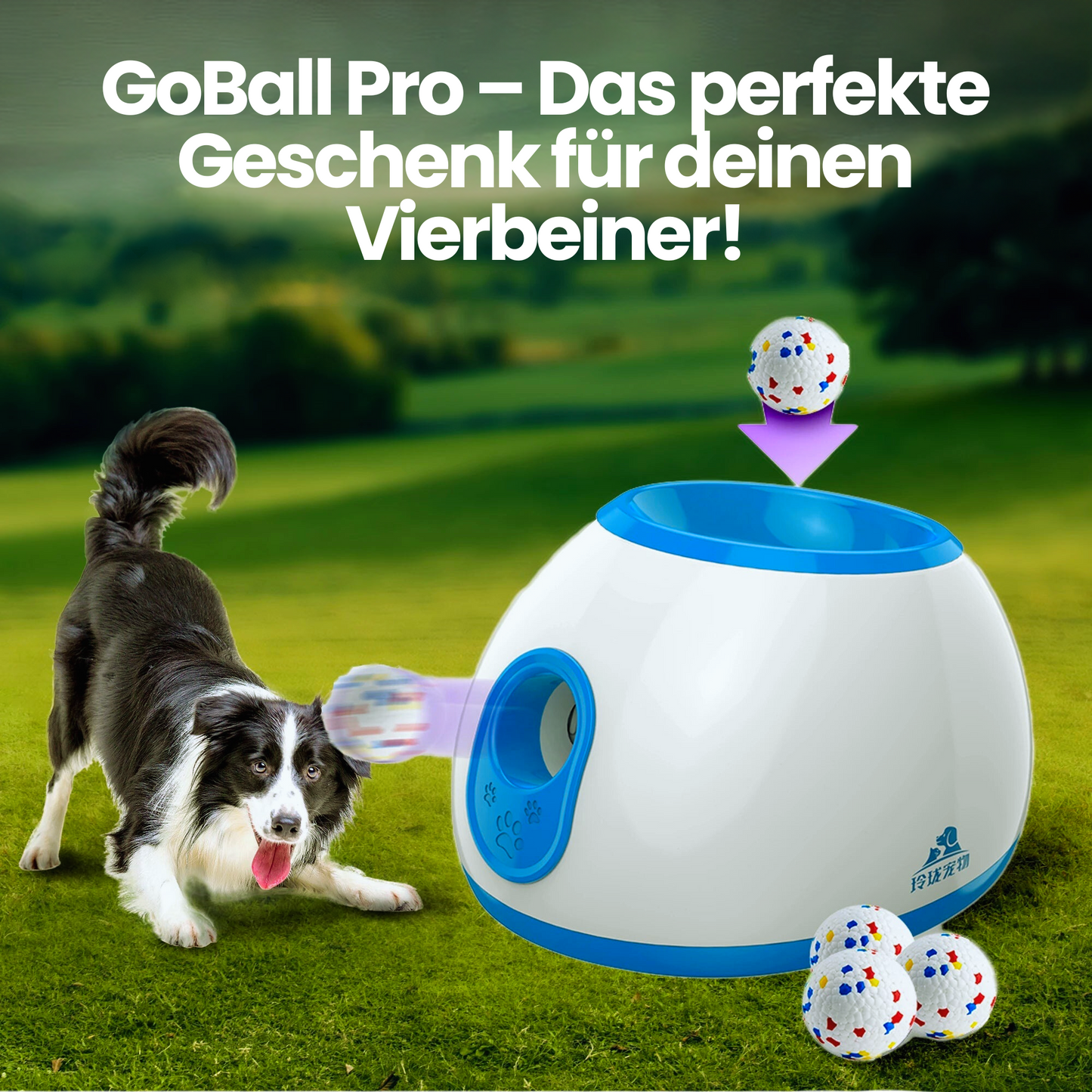 GoBall Pro - Furion™